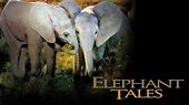 Elephant Tales | Apple TV