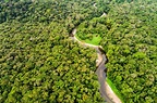 衛星數據分析顯示：亞馬遜雨林正在失去恢復力 – WONGCW 網誌