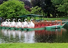 Swan Boats • Boston - Inbound Destinations