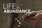 Life in Abundance - THIMAR - LSESD