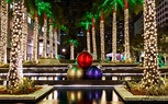December in Florida: Weather and Event Guide