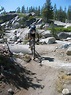 Hole In The Ground Mountain Bike Trail in Truckee, California ...