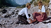 Das Schweigen im Walde (1976) — The Movie Database (TMDB)