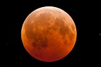 Full Lunar Eclipse | Astronomy Pictures at Orion Telescopes