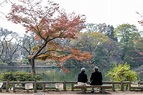 東京 吉祥寺 井之頭恩賜公園 秋日賞楓＠ღ霙霙ღ晃晃ღ幸福小記事｜PChome Online 個人新聞台