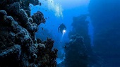Deepest Oceans And Seas - WorldAtlas
