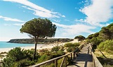 Playas de Cádiz: diez para flipar en verano | Guía Repsol