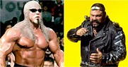 5 Reasons Scott Was The Best Steiner Brother (& 5 Reasons It Was Rick)