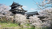 Japan’s Top 100 Blossoms: Kōriyama Castle (Nara) | Nippon.com