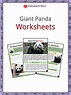 Giant Panda Worksheets and Facts | Habitat, Behavior, Imprtance