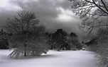 Dark Winter Wallpapers - Top Free Dark Winter Backgrounds - WallpaperAccess