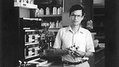 Cracking the sugar code: Chi-Huey Wong’s sweet discoveries - Scripps ...