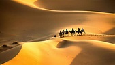 Desierto del Sáhara 2021: los 10 mejores tours y actividades (con fotos ...