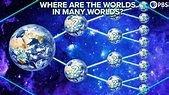 Where Are The Worlds In Many Worlds? - Education Insiders