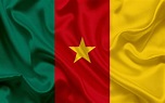 Cameroon Flag Wallpapers - Wallpaper Cave