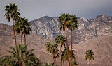 12 Unique Things to Do in Palm Springs, California