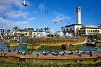 The Best Things to Do in Casablanca