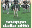 Scappo dalla città - la vita, l'amore e le vacche (Film 1991): trama ...