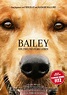 Bailey - Ein Freund fürs Leben - Film 2017 - FILMSTARTS.de
