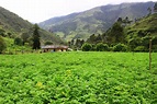 Cinco destinos naturales del Valle del Cauca para visitar en el 2021 ...