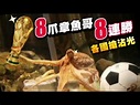 神算8連發 章魚哥保羅Paul Octopus大滿貫 義大利搶人沾光 - YouTube