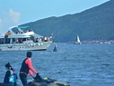 世界自然基金會建議將鯨魚出沒的西貢牛尾海劃為保護區 - 新浪香港