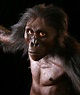 Australopithecus afarensis - AL 288 - "Lucy" - reconstruction by John ...