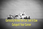 Curiosity Killed the Cat, but it Can Catapult Your Career