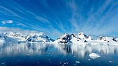 El océano Antártico y sus datos más interesantes | La Verdad Noticias