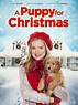 A Puppy for Christmas (2016) - Rotten Tomatoes