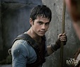 Dylan as Thomas in The Maze Runner - Dylan O'Brien Photo (37612679 ...