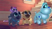 'Puppy Dog Pals' To Premiere April 14 on Disney Channel | Animation ...