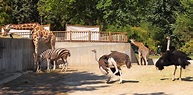 File:Madrid Zoo.jpg