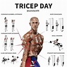 Triceps Workout Routine For Mass | Get Healthy and Strong Today