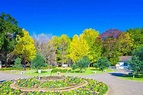 代代木公園｜THE GATE｜日本旅遊觀光雜誌・提供觀光旅遊信息