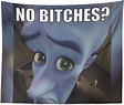 Aertemisi 60'' x 50'' Megamind No Bitches Funny Meme Tapestry & Wall ...