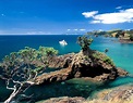 Top Attractions of Waiheke Island, New Zealand | Found The World