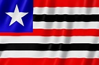 Bandeira do estado do maranhão no brasil | Foto Premium