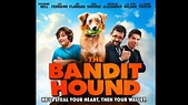 The Bandit Hound Official Trailer - YouTube