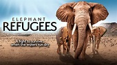 ELEPHANT REFUGEES - Global Digital Releasing