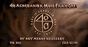 40 Acres and a Mule Filmworks - Audiovisual Identity Database