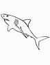 Dibujos para colorear: Gran tiburón blanco imprimible, gratis, para los ...