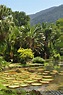 Jardim Botânico do Rio de Janeiro - história, fotos, atividades ...