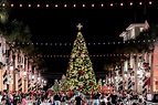 10 Best Christmas Towns in Florida You Must Visit - Florida Trippers