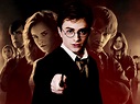 Harry in DA - Harry James Potter Wallpaper (34931039) - Fanpop