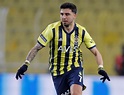 Hull City signs Turkish midfielder Ozan Tufan from Fenerbahçe | Daily Sabah