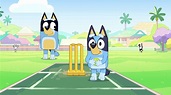 Bluey (S03E47): Cricket Summary - Season 3 Episode 47 Guide