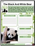 Giant Panda Worksheets and Facts | Habitat, Behavior, Imprtance