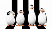 Penguins of Madagascar | Movie fanart | fanart.tv