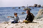 The Sandpiper (1965) - Turner Classic Movies